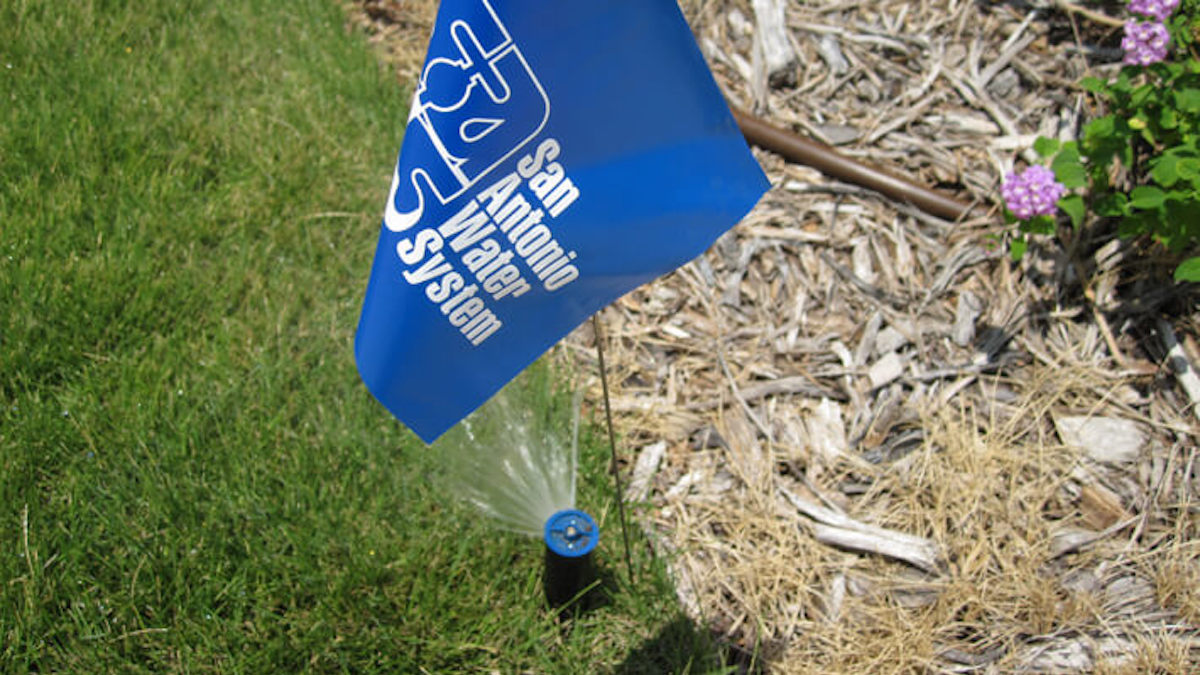 Want a picturesque garden but you’re on a budget? It’s possible. San