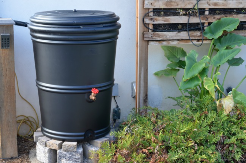 Rain Barrel Upgrade