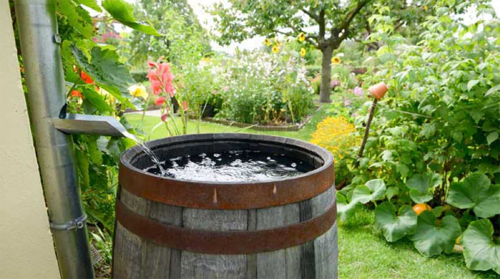 Rain Barrel Upgrade